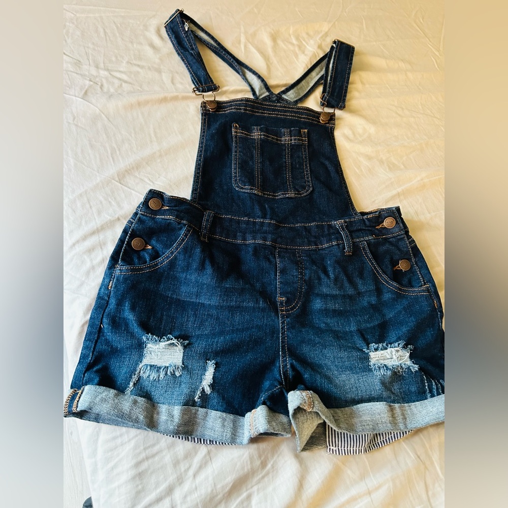 Wax Jean Basic Denim Overalls - image 1